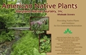 *Showcase -- American Native Plants <BR>Native Trees, Shrubs + Herbaceous Perennials 
